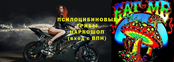 кокс Арсеньев
