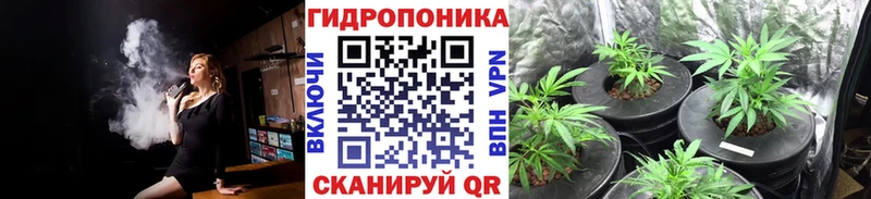 Марихуана семена  Купить где  Туринск 